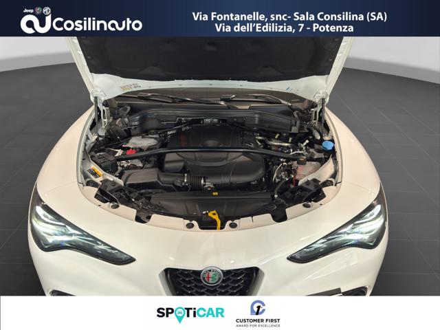 ALFA ROMEO Stelvio usata, con Interni in pelle
