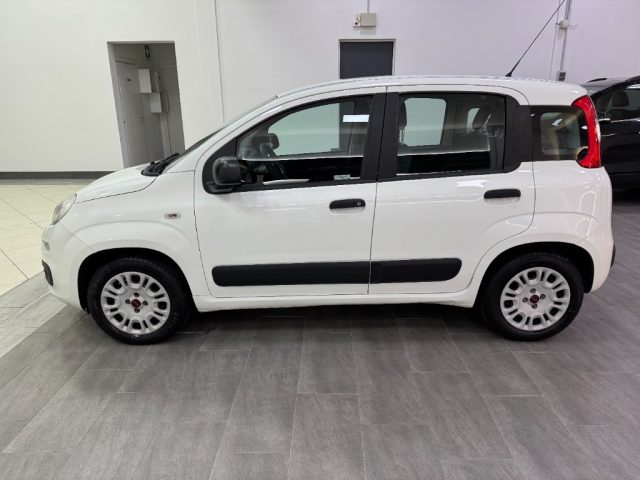 FIAT Panda usata, con Controllo trazione