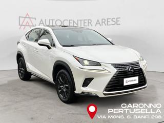 LEXUS NX 300 usata, con Autoradio
