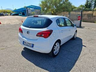 OPEL Corsa usata 5