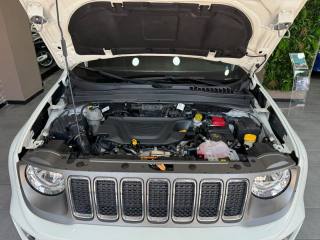 JEEP Renegade usata, con Vetri oscurati