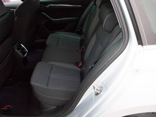 SKODA Octavia usata, con Cruise Control