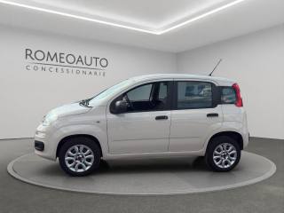 FIAT Panda usata, con Airbag laterali