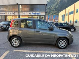 FIAT Panda usata, con Antifurto