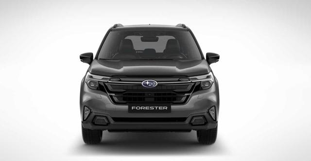 SUBARU Forester usata, con Alzacristalli elettrici