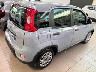 FIAT Panda usata, con Alzacristalli elettrici