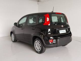 FIAT Panda usata, con USB
