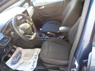 FORD Fiesta usata, con Fendinebbia