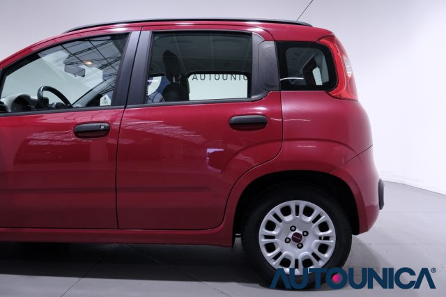 FIAT Panda usata 38