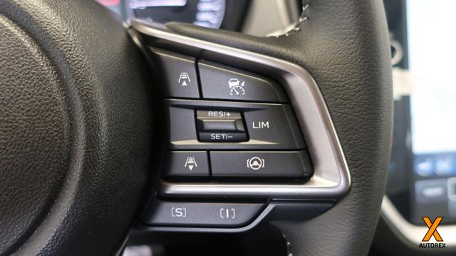 SUBARU Crosstrek usata, con Vetri oscurati