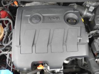 SKODA Fabia usata 59