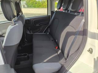 FIAT Panda usata 8