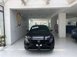 PEUGEOT 3008 usata, con Climatizzatore
