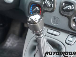 FIAT Panda usata 11
