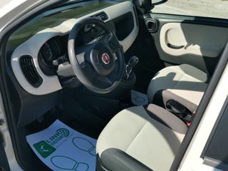 FIAT Panda usata, con Alzacristalli elettrici