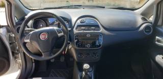 FIAT Punto usata, con Climatizzatore