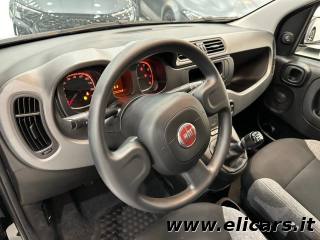 FIAT Panda usata, con Climatizzatore