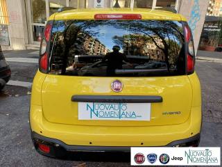 FIAT Panda usata, con Cruise Control