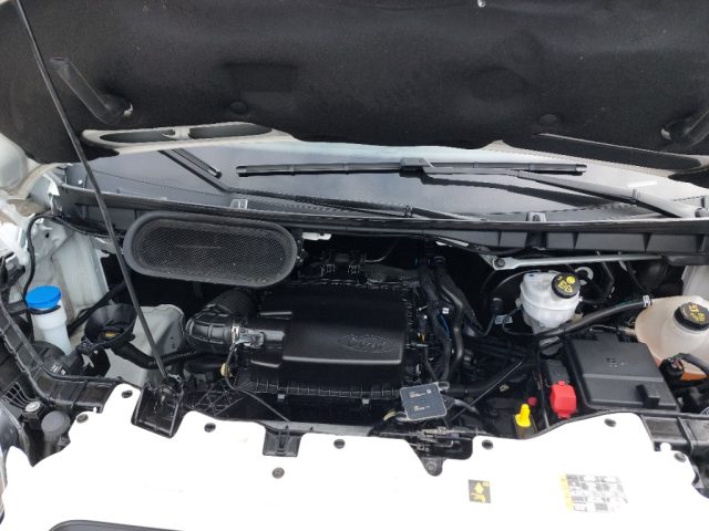 FORD Transit usata, con Volante multifunzione