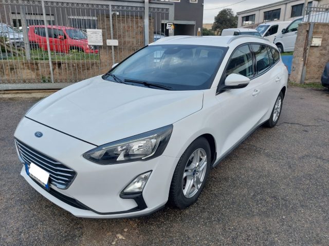 FORD Focus usata 1