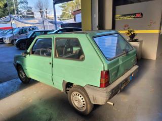 FIAT Panda usata 3