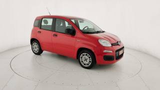 FIAT Panda usata 22