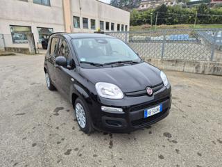 FIAT Pandina usata, con Airbag Passeggero