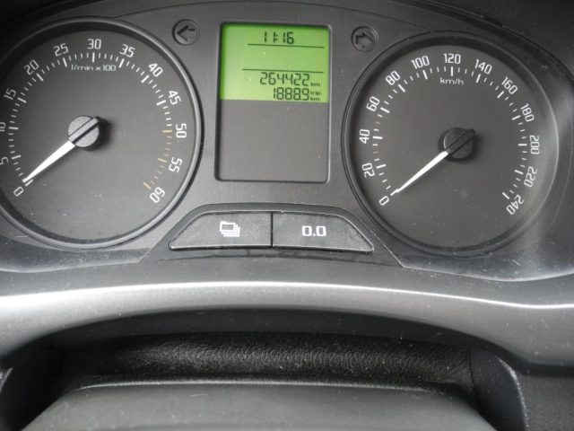 SKODA Fabia usata 25