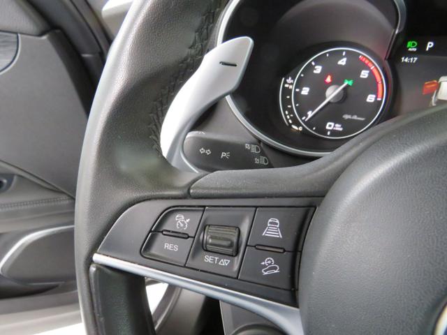 ALFA ROMEO Stelvio usata, con ESP
