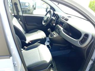 FIAT Panda usata, con Fendinebbia