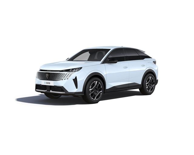 PEUGEOT 3008 usata, con ABS
