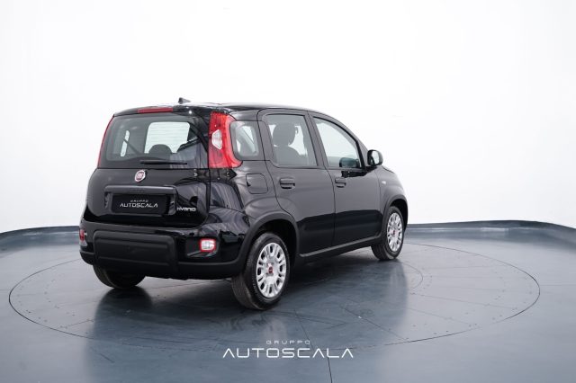 FIAT New Panda usata, con Chiusura centralizzata