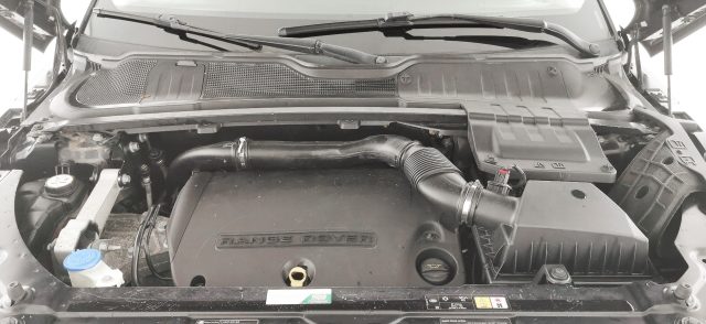 LAND ROVER Range Rover Evoque usata 71