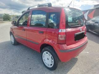 FIAT Panda usata 6