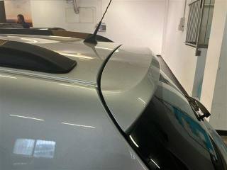 DACIA Spring usata 25