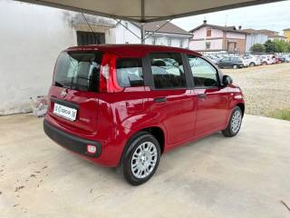 FIAT Panda usata, con Antifurto