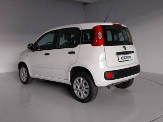 FIAT Panda usata, con Servosterzo