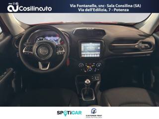 JEEP Renegade usata, con Cruise Control