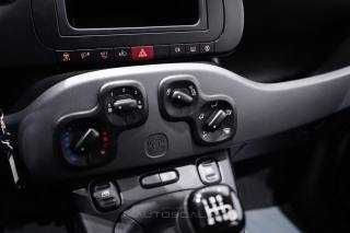 FIAT New Panda usata 13