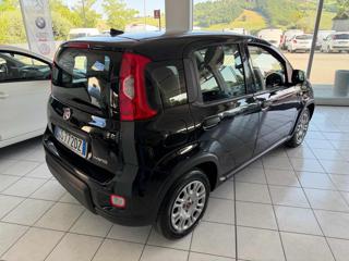 FIAT Panda usata, con Climatizzatore