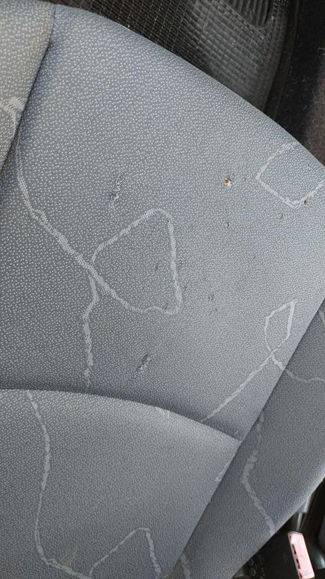 SMART ForTwo usata 19