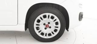 FIAT Panda usata 32