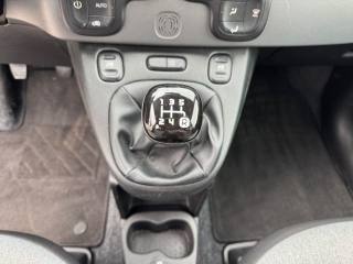 FIAT Panda usata, con Fendinebbia