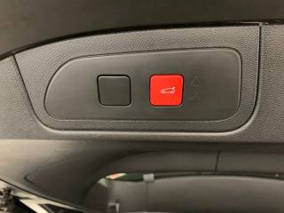 DS AUTOMOBILES DS 7 usata, con Controllo vocale