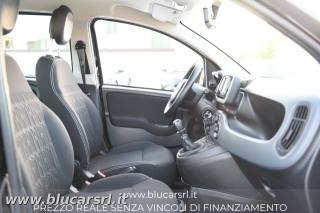 FIAT Panda usata 10