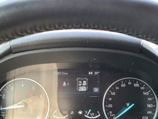 FORD EcoSport usata, con Controllo vocale