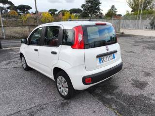 FIAT Panda usata 3