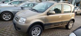 FIAT Panda usata, con Alzacristalli elettrici