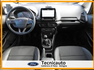 FORD EcoSport usata, con Fendinebbia