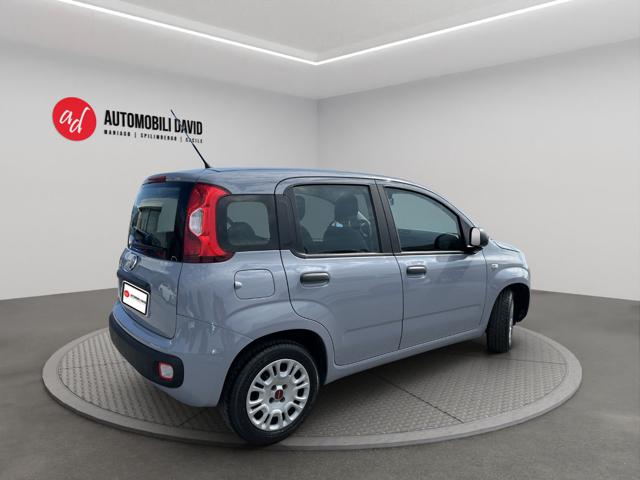FIAT Panda usata, con Alzacristalli elettrici